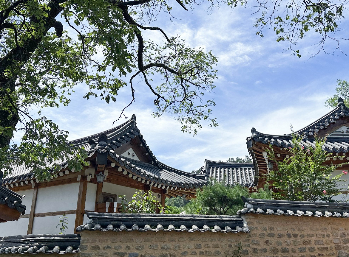 선인들의 삶 - 대구 유적 여행기
