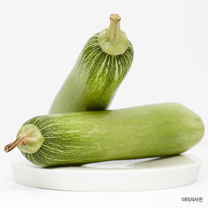 친환경 애호박(개)