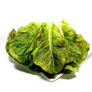 친환경 적상추(100g)