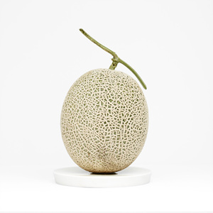 머스크 메론(개)