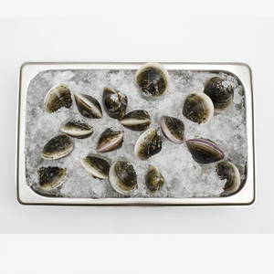 모시조개(200g)