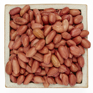 볶음땅콩(100g)