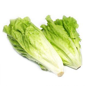 친환경 로메인상추(200g)