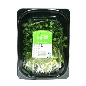 친환경 무순(30g)