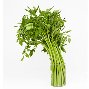 한재 미나리(300g)