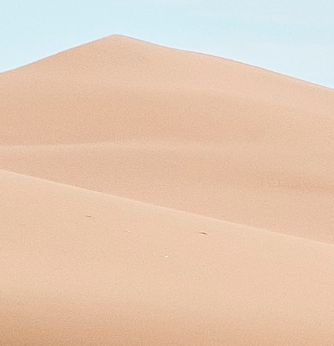 Responding to Climate Change with Environmental Preservation Activities