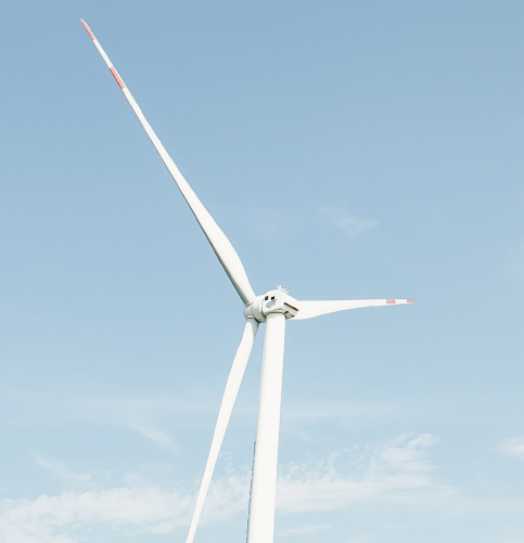 Creating an Environmentally-Friendly Business Site