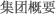 集团概要