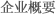企业概要