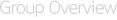 Group Outline