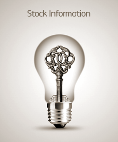 Stock Information
