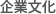 集团文化