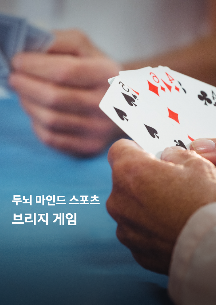 두뇌 마인드 스포츠 브리지 게임