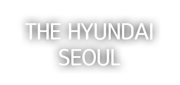 The hyundai seoul Store